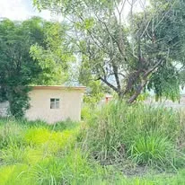 Área verde con vegetación y construcción