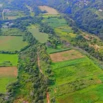 Vista aérea de terrenos verdes